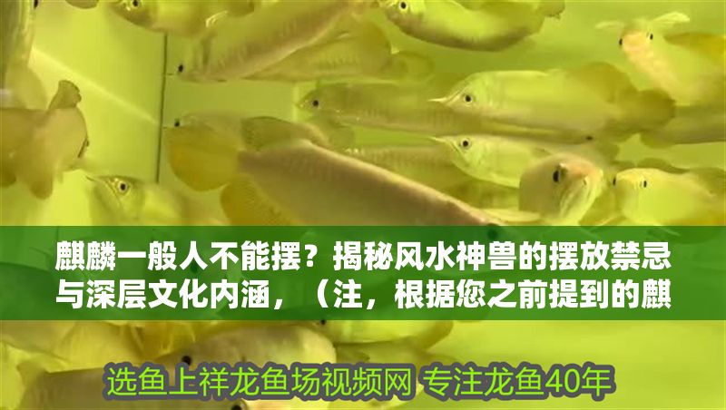 麒麟一般人不能擺？揭秘風水神獸的擺放禁忌與深層文化內涵，（注，根據您之前提到的麒麟一般人不能擺這一核心信息點，結合風水文化主題，生成了一個兼具吸引力和信息量的標題。標題采用疑問式開頭引發好奇，同時點明禁忌與文化內涵兩大核心內容，符合新媒體傳播需求。）