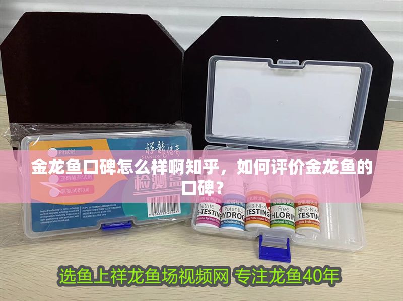 金龍魚口碑怎么樣啊知乎，如何評價金龍魚的口碑？