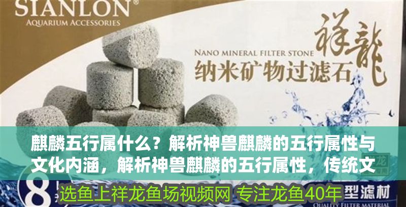 麒麟五行屬什么？解析神獸麒麟的五行屬性與文化內(nèi)涵，解析神獸麒麟的五行屬性，傳統(tǒng)文化中的祥瑞象征