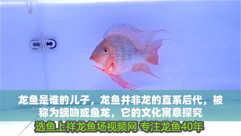 龍魚是誰的兒子，龍魚并非龍的直系后代，被稱為螭吻或魚龍，它的文化寓意探究
