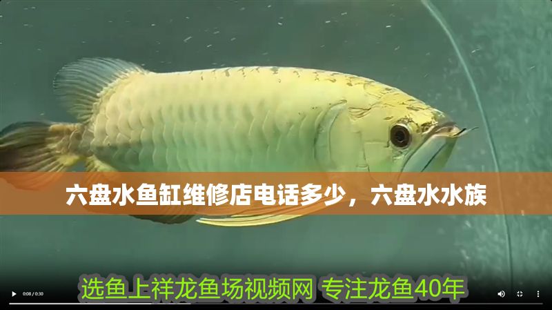 六盤水魚缸維修店電話多少，六盤水水族
