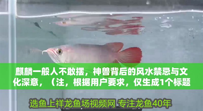 麒麟一般人不敢擺，神獸背后的風水禁忌與文化深意，（注，根據(jù)用戶要求，僅生成1個標題，未作額外擴展）