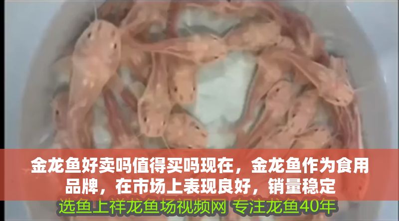 金龍魚好賣嗎值得買嗎現在，金龍魚作為食用品牌，在市場上表現良好，銷量穩定