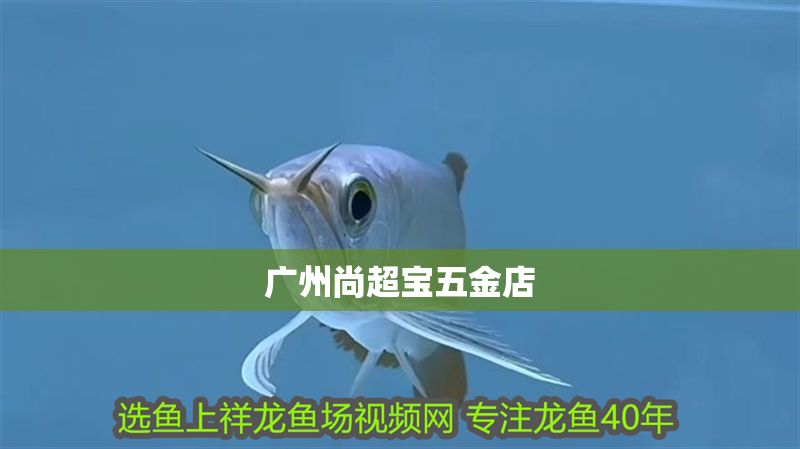 廣州尚超寶五金店