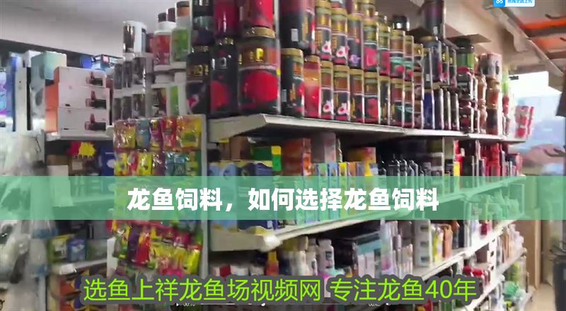 龍魚飼料，如何選擇龍魚飼料