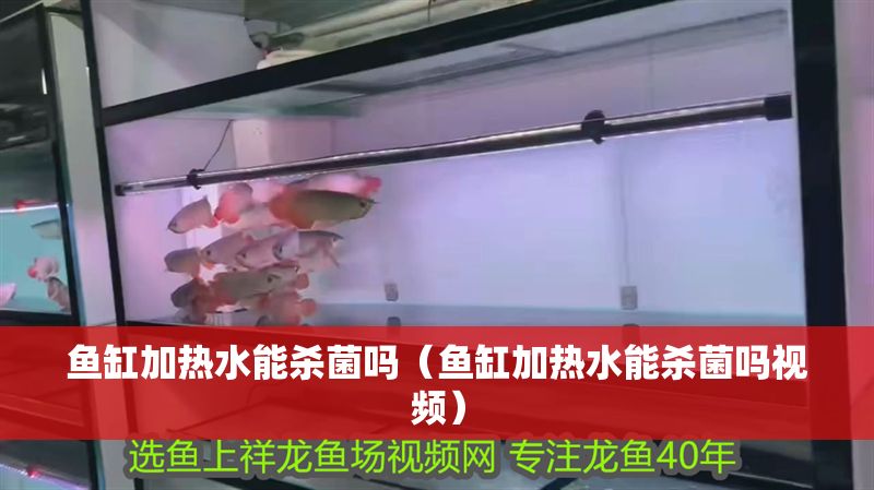 魚缸加熱水能殺菌嗎（魚缸加熱水能殺菌嗎視頻）