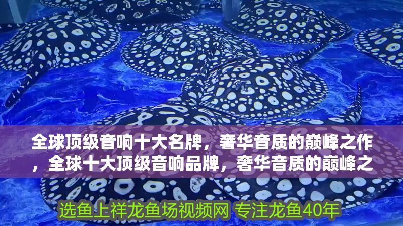 全球頂級音響十大名牌，奢華音質的巔峰之作，全球十大頂級音響品牌，奢華音質的巔峰之選