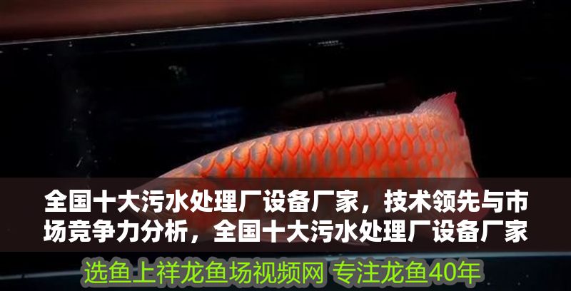 全國十大污水處理廠設(shè)備廠家，技術(shù)領(lǐng)先與市場競爭力分析，全國十大污水處理廠設(shè)備廠家，技術(shù)領(lǐng)先與市場競爭力深度解析