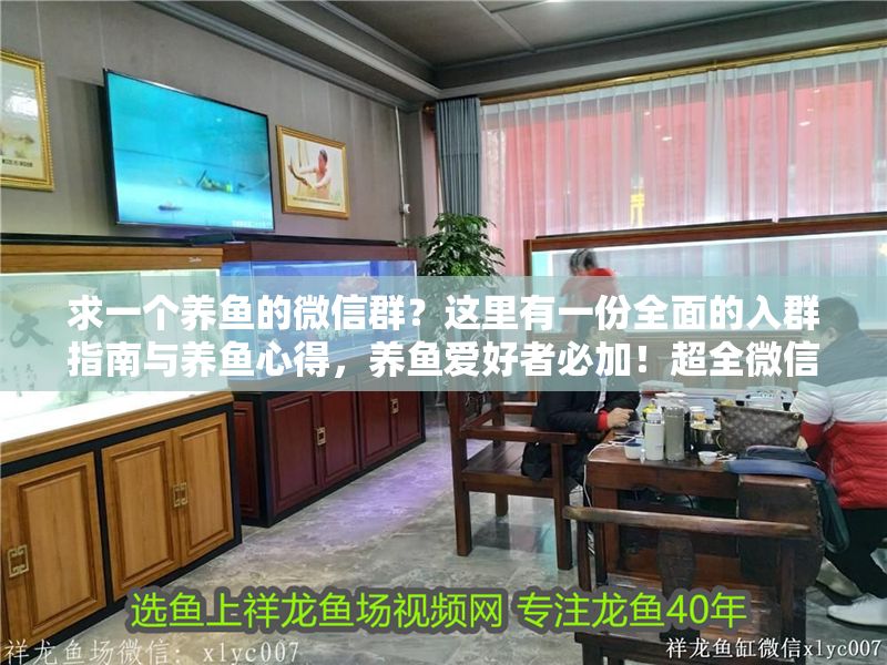 求一個養(yǎng)魚的微信群？這里有一份全面的入群指南與養(yǎng)魚心得，養(yǎng)魚愛好者必加！超全微信群入群指南與實用養(yǎng)魚技巧分享 求一個養(yǎng)魚的微信群？這里有一份全面的入群指南與養(yǎng)魚心得，養(yǎng)魚愛好者必加！超全微信群入群指南與實用養(yǎng)魚技巧分享 龍魚百科 第1張