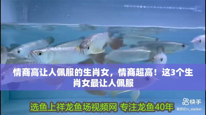 情商高讓人佩服的生肖女，情商超高！這3個(gè)生肖女最讓人佩服