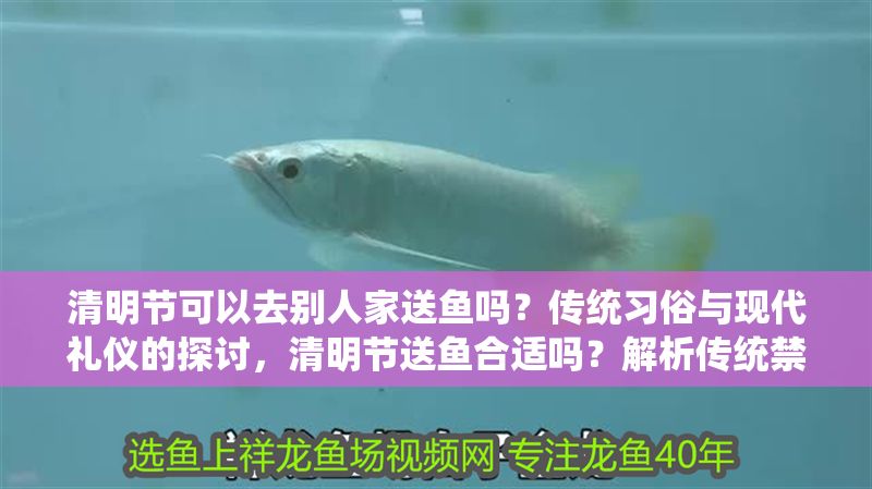 清明節(jié)可以去別人家送魚嗎？傳統(tǒng)習(xí)俗與現(xiàn)代禮儀的探討，清明節(jié)送魚合適嗎？解析傳統(tǒng)禁忌與現(xiàn)代交往禮儀 清明節(jié)可以去別人家送魚嗎？傳統(tǒng)習(xí)俗與現(xiàn)代禮儀的探討，清明節(jié)送魚合適嗎？解析傳統(tǒng)禁忌與現(xiàn)代交往禮儀 龍魚百科 第1張