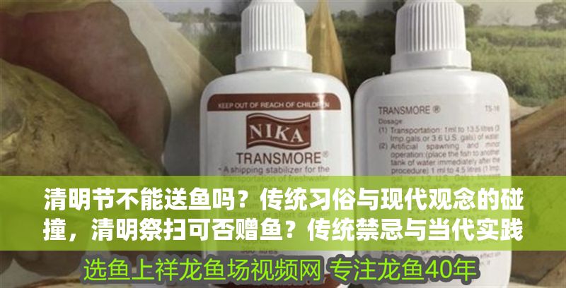 清明節(jié)不能送魚嗎？傳統(tǒng)習(xí)俗與現(xiàn)代觀念的碰撞，清明祭掃可否贈魚？傳統(tǒng)禁忌與當(dāng)代實踐的對話