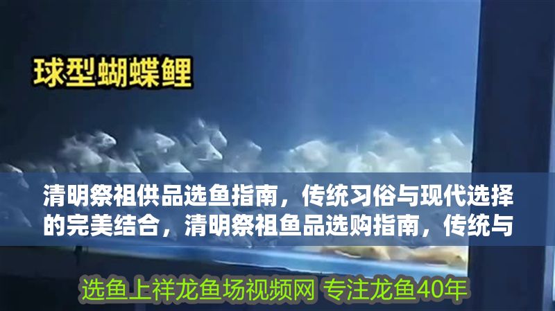 清明祭祖供品選魚指南，傳統習俗與現代選擇的完美結合，清明祭祖魚品選購指南，傳統與時尚的智慧之選