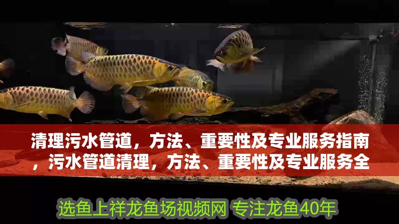 清理污水管道，方法、重要性及專業(yè)服務(wù)指南，污水管道清理，方法、重要性及專業(yè)服務(wù)全指南