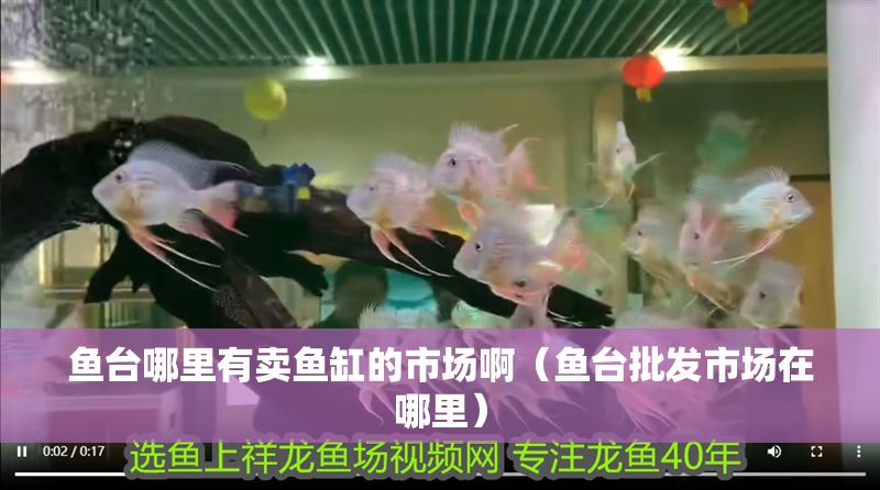 魚臺哪里有賣魚缸的市場啊（魚臺批發(fā)市場在哪里）