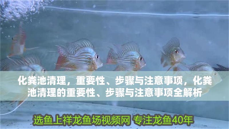 化糞池清理，重要性、步驟與注意事項，化糞池清理的重要性、步驟與注意事項全解析