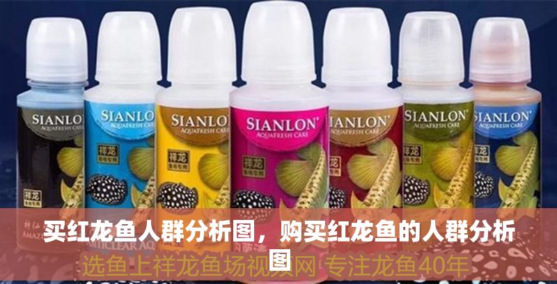 買紅龍魚人群分析圖，購買紅龍魚的人群分析圖