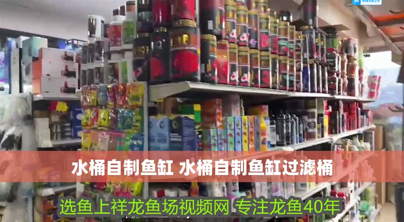 水桶自制魚缸 水桶自制魚缸過濾桶