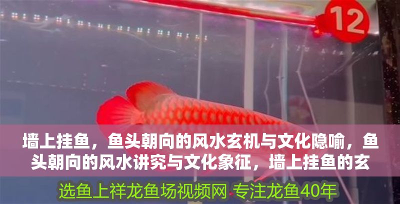 墻上掛魚，魚頭朝向的風水玄機與文化隱喻，魚頭朝向的風水講究與文化象征，墻上掛魚的玄機解讀