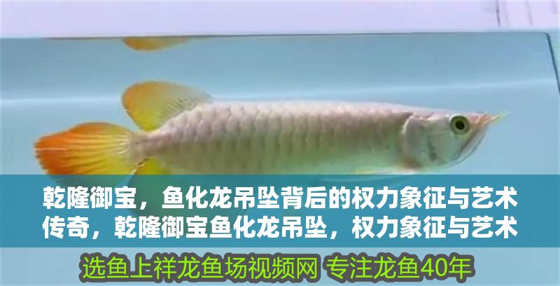 乾隆御寶，魚化龍吊墜背后的權(quán)力象征與藝術(shù)傳奇，乾隆御寶魚化龍吊墜，權(quán)力象征與藝術(shù)傳奇的完美交融