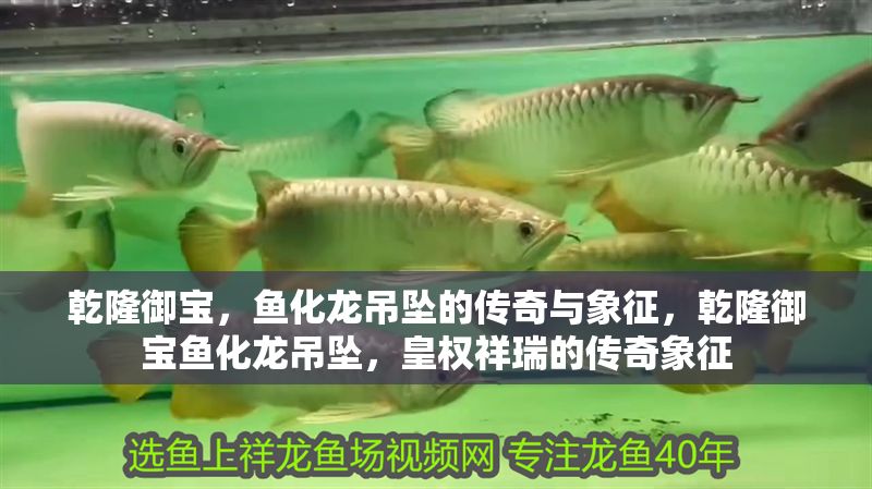 乾隆御寶，魚化龍吊墜的傳奇與象征，乾隆御寶魚化龍吊墜，皇權祥瑞的傳奇象征