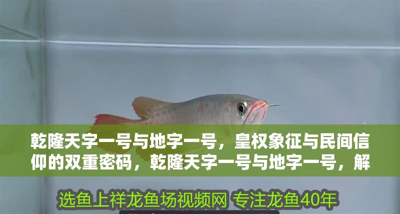 乾隆天字一號與地字一號，皇權象征與民間信仰的雙重密碼，乾隆天字一號與地字一號，解碼皇權象征與民間信仰的雙重密碼