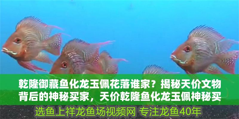 乾隆御藏魚化龍玉佩花落誰(shuí)家？揭秘天價(jià)文物背后的神秘買家，天價(jià)乾隆魚化龍玉佩神秘買家揭曉，誰(shuí)將這件御藏瑰寶收入囊中？