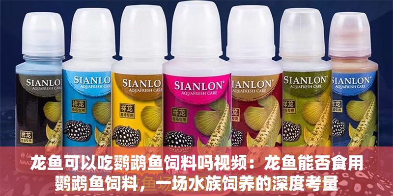 龍魚可以吃鸚鵡魚飼料嗎視頻：龍魚能否食用鸚鵡魚飼料，一場水族飼養的深度考量