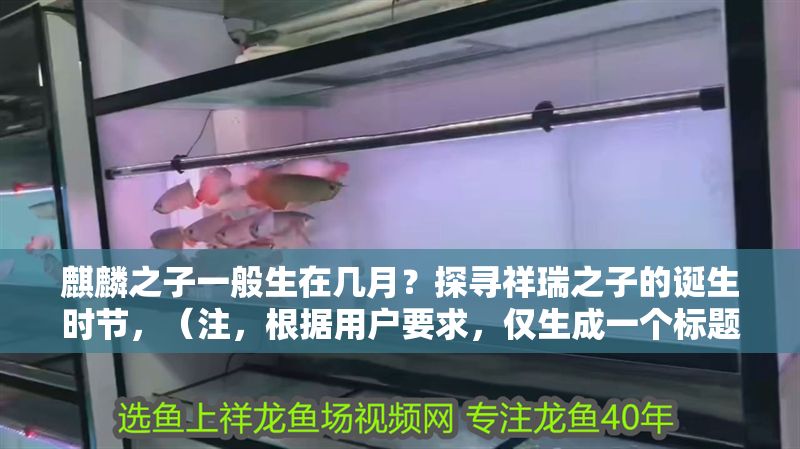 麒麟之子一般生在幾月？探尋祥瑞之子的誕生時節，（注，根據用戶要求，僅生成一個標題，故不提供其他備選方案）