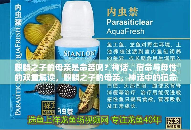 麒麟之子的母親是命苦嗎？神話、宿命與母性的雙重解讀，麒麟之子的母親，神話中的宿命困境與母性光輝的雙重敘事