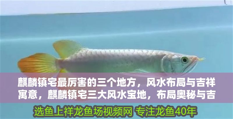 麒麟鎮宅最厲害的三個地方，風水布局與吉祥寓意，麒麟鎮宅三大風水寶地，布局奧秘與吉祥寓意解析