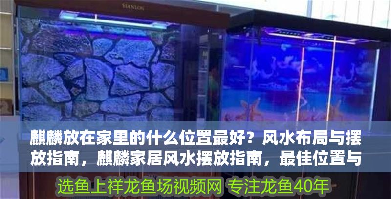 麒麟放在家里的什么位置最好？風(fēng)水布局與擺放指南，麒麟家居風(fēng)水?dāng)[放指南，最佳位置與布局講究