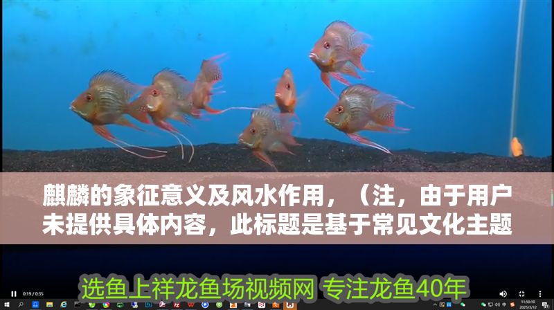 麒麟的象征意義及風(fēng)水作用，（注，由于用戶未提供具體內(nèi)容，此標(biāo)題是基于常見文化主題生成的示例。若用戶提供具體內(nèi)容，將根據(jù)實(shí)際信息生成更精準(zhǔn)的標(biāo)題。）