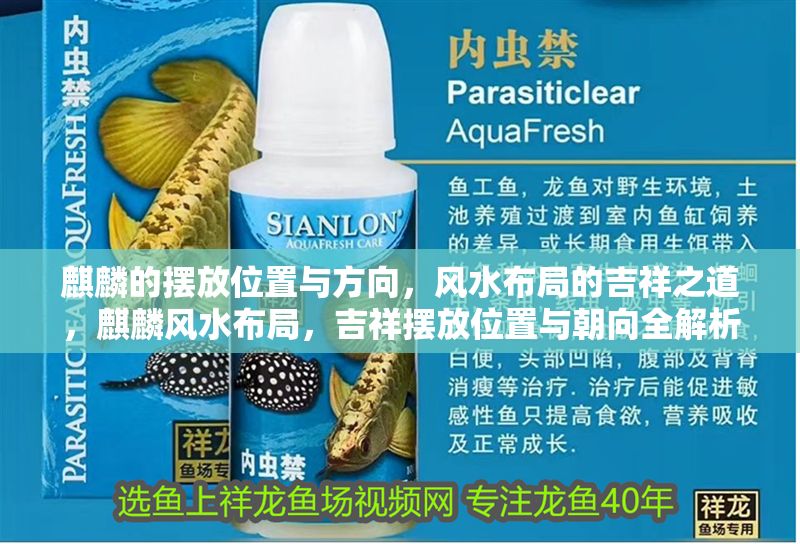 麒麟的擺放位置與方向，風(fēng)水布局的吉祥之道，麒麟風(fēng)水布局，吉祥擺放位置與朝向全解析