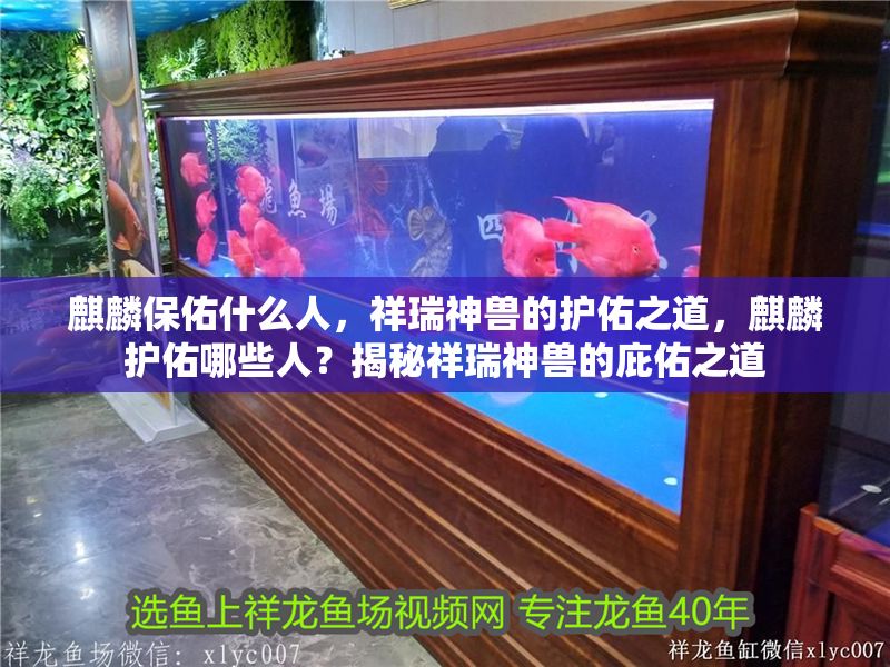 <strong><mark>麒麟</mark></strong>保佑什么人，祥瑞神獸的護(hù)佑之道，<strong><mark>麒麟</mark></strong>護(hù)佑哪些人？揭秘祥瑞神獸的庇佑之道