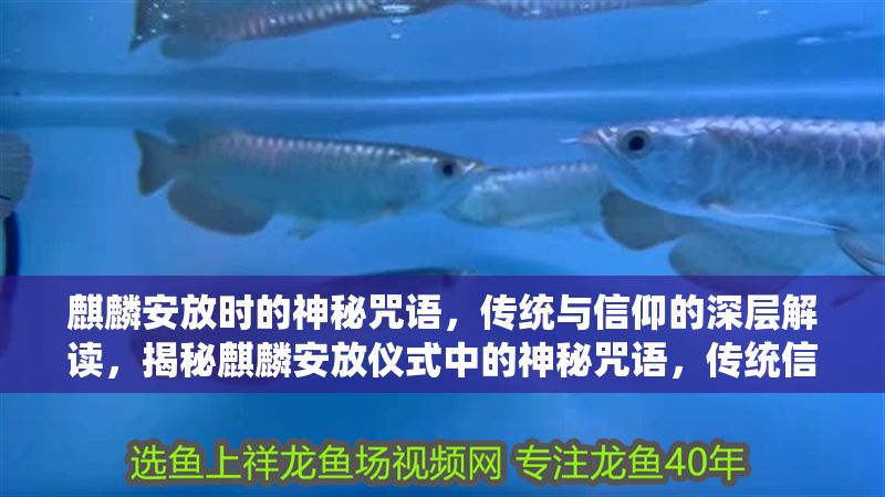 麒麟安放時的神秘咒語，傳統與信仰的深層解讀，揭秘麒麟安放儀式中的神秘咒語，傳統信仰的文化密碼