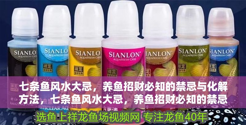 七條魚風水大忌，養魚招財必知的禁忌與化解方法，七條魚風水大忌，養魚招財必知的禁忌與化解方法