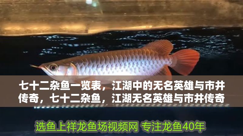 七十二雜魚一覽表，江湖中的無名英雄與市井傳奇，七十二雜魚，江湖無名英雄與市井傳奇錄 七十二雜魚一覽表，江湖中的無名英雄與市井傳奇，七十二雜魚，江湖無名英雄與市井傳奇錄 龍魚百科 第1張