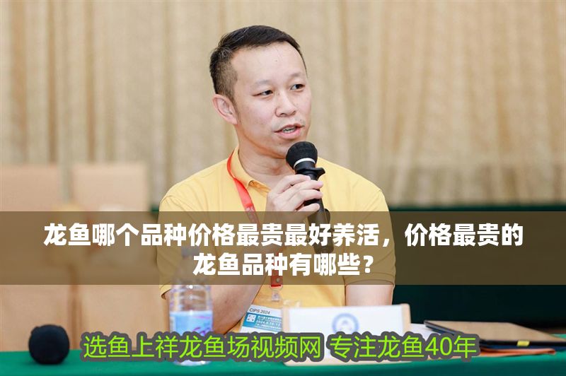 龍魚哪個品種價格最貴最好養活，價格最貴的龍魚品種有哪些？