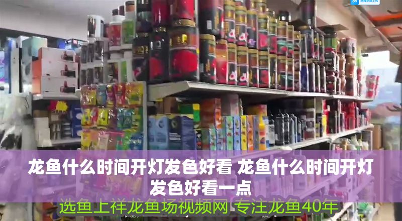 龍魚什么時間開燈發(fā)色好看 龍魚什么時間開燈發(fā)色好看一點