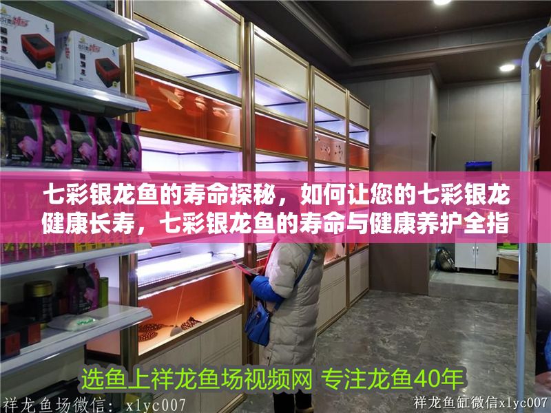 七彩銀龍魚的壽命探秘，如何讓您的七彩銀龍健康長壽，七彩銀龍魚的壽命與健康養護全指南
