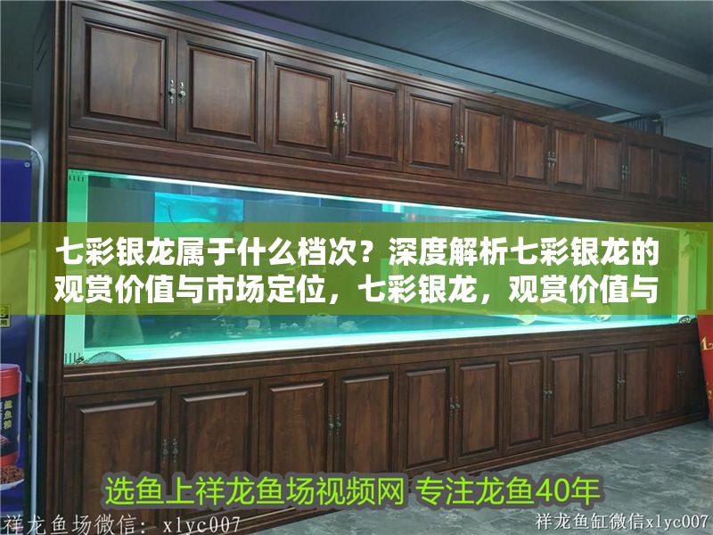 七彩銀龍屬于什么檔次？深度解析七彩銀龍的觀賞價值與市場定位，七彩銀龍，觀賞價值與市場定位全解析