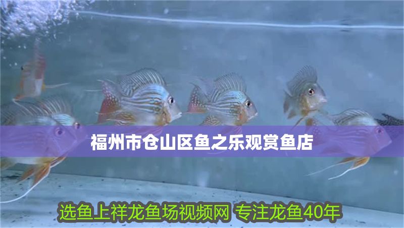 福州市倉山區魚之樂觀賞魚店