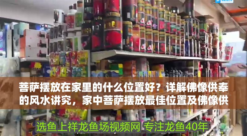 菩薩擺放在家里的什么位置好？詳解佛像供奉的風水講究，家中菩薩擺放最佳位置及佛像供奉風水禁忌全解析