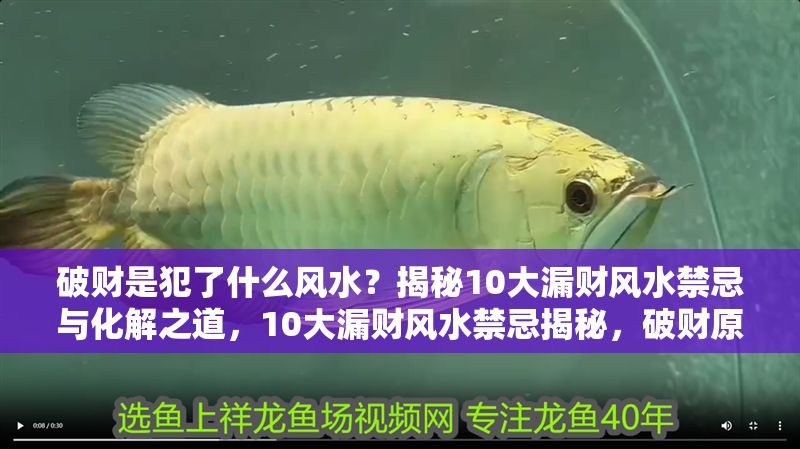破財是犯了什么風水？揭秘10大漏財風水禁忌與化解之道，10大漏財風水禁忌揭秘，破財原因與化解方法全解析