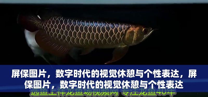 屏保圖片，數字時代的視覺休憩與個性表達，屏保圖片，數字時代的視覺休憩與個性表達