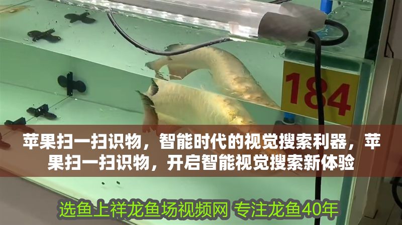 蘋果掃一掃識物，智能時代的視覺搜索利器，蘋果掃一掃識物，開啟智能視覺搜索新體驗