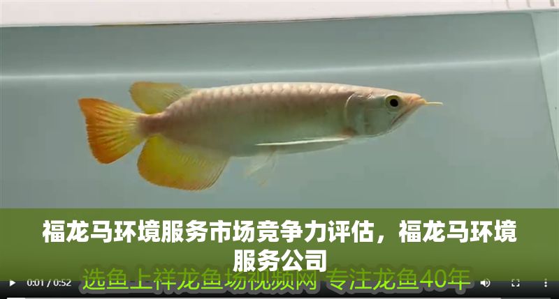 福龍馬環境服務市場競爭力評估，福龍馬環境服務公司