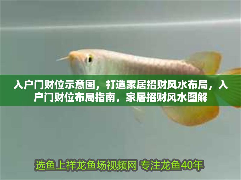 入戶門財位示意圖,打造家居招財風水布局,入戶門財位布局指南,家居招財風水圖解 龍魚百科 第1張 入戶門財位示意圖,打造家居招財風水布局,入戶門財位布局指南,家居招財風水圖解 入戶門財位示意圖,打造家居招財風水布局,入戶門財位布局指南,家居招財風水圖解 龍魚百科 第1張