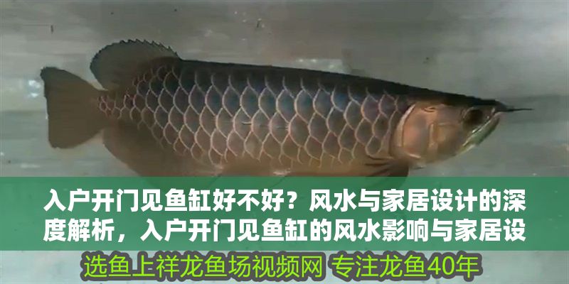 入戶開門見魚缸好不好？風(fēng)水與家居設(shè)計(jì)的深度解析，入戶開門見魚缸的風(fēng)水影響與家居設(shè)計(jì)解析